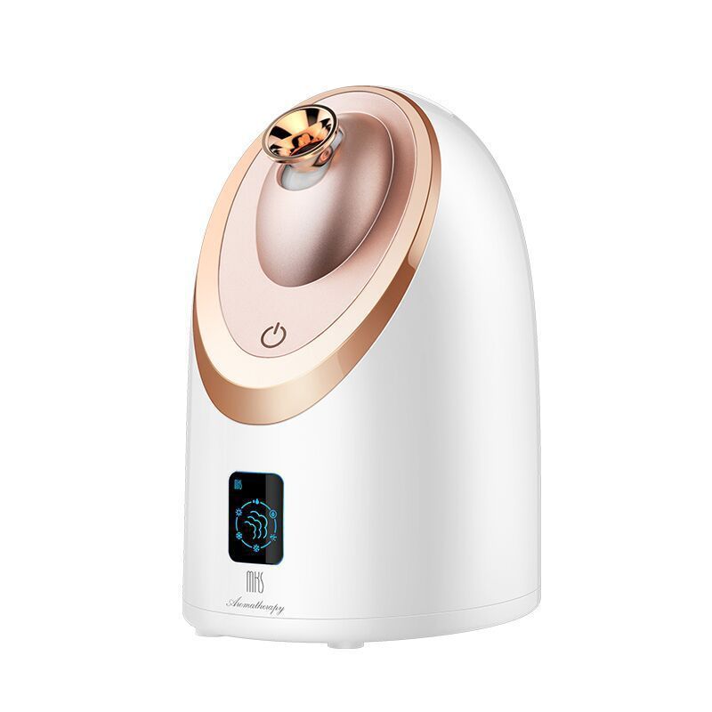 Nano Facial Steamer