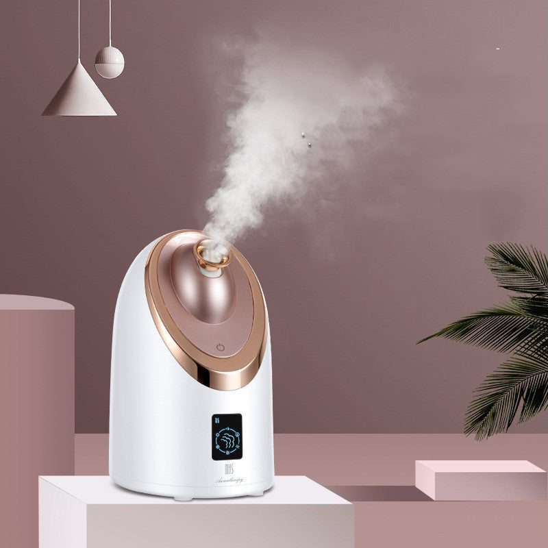 Nano Facial Steamer